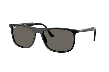 rayban, RB 2216, vīriešiem, apaļas / ovālas, plastmasa