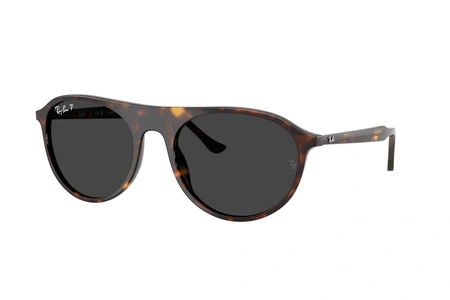 rayban, RB 2215, vīriešiem, apaļas / ovālas, polarizēts, plastmasa